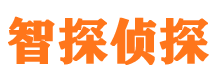 沈河市婚外情调查